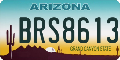 AZ license plate BRS8613
