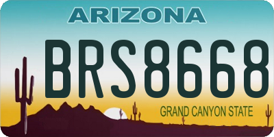 AZ license plate BRS8668