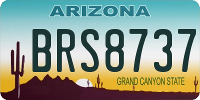 AZ license plate BRS8737