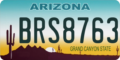 AZ license plate BRS8763