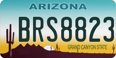 AZ license plate BRS8823