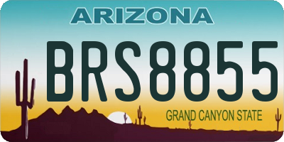 AZ license plate BRS8855