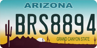 AZ license plate BRS8894
