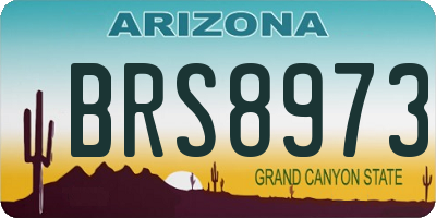 AZ license plate BRS8973