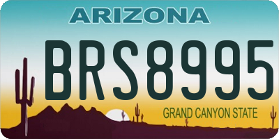 AZ license plate BRS8995