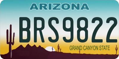 AZ license plate BRS9822