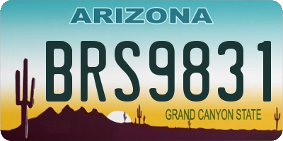 AZ license plate BRS9831