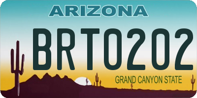 AZ license plate BRT0202