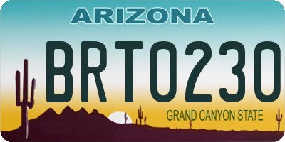 AZ license plate BRT0230