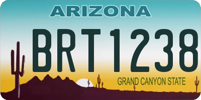 AZ license plate BRT1238