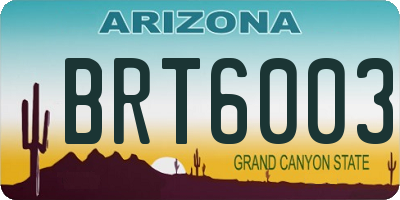 AZ license plate BRT6003