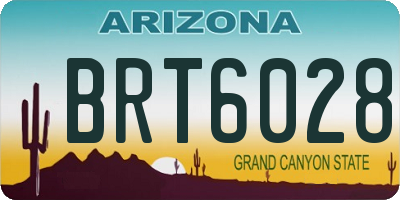 AZ license plate BRT6028