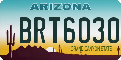 AZ license plate BRT6030