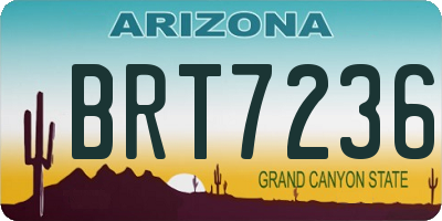 AZ license plate BRT7236