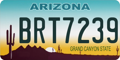 AZ license plate BRT7239