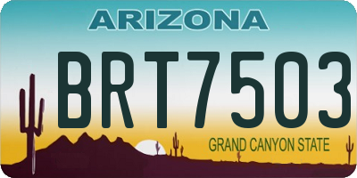 AZ license plate BRT7503