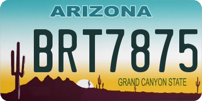 AZ license plate BRT7875