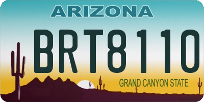 AZ license plate BRT8110