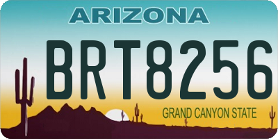AZ license plate BRT8256