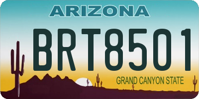 AZ license plate BRT8501