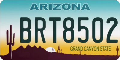 AZ license plate BRT8502