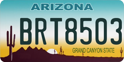 AZ license plate BRT8503