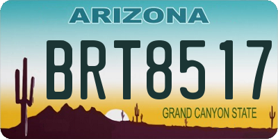 AZ license plate BRT8517