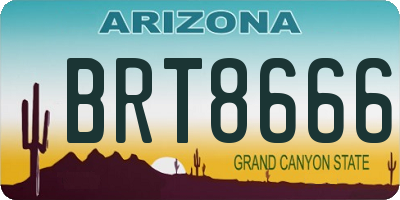 AZ license plate BRT8666