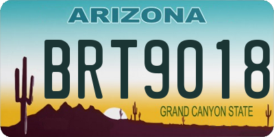 AZ license plate BRT9018