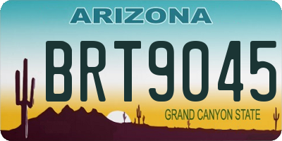 AZ license plate BRT9045