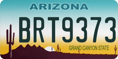 AZ license plate BRT9373
