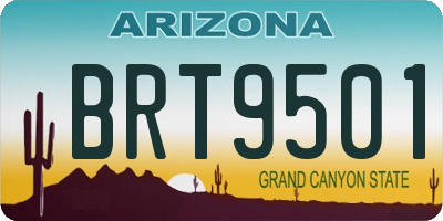 AZ license plate BRT9501