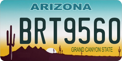 AZ license plate BRT9560