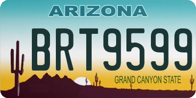 AZ license plate BRT9599