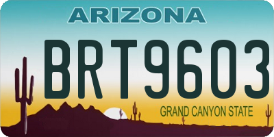 AZ license plate BRT9603