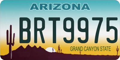 AZ license plate BRT9975