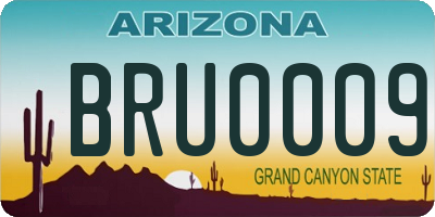 AZ license plate BRU0009