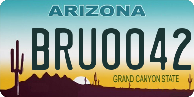 AZ license plate BRU0042