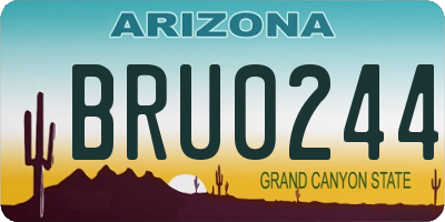AZ license plate BRU0244
