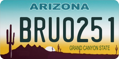 AZ license plate BRU0251