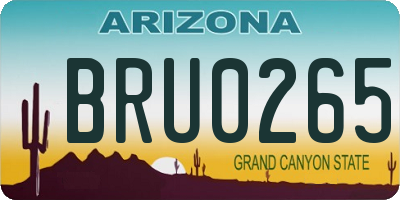 AZ license plate BRU0265