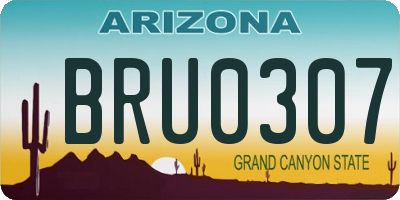 AZ license plate BRU0307