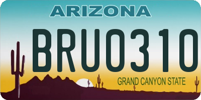 AZ license plate BRU0310