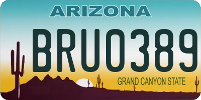 AZ license plate BRU0389