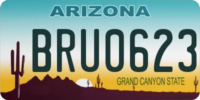 AZ license plate BRU0623