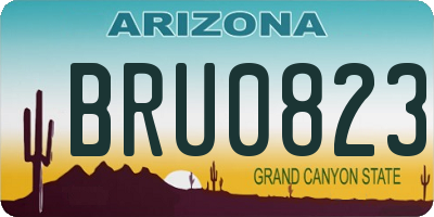 AZ license plate BRU0823