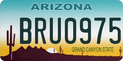 AZ license plate BRU0975