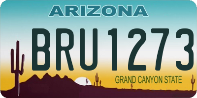 AZ license plate BRU1273