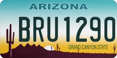 AZ license plate BRU1290