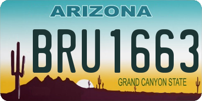 AZ license plate BRU1663